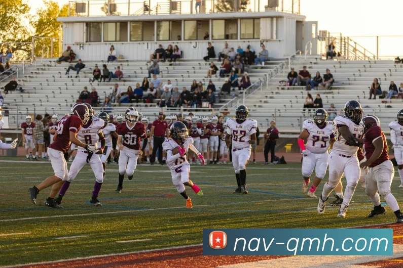 球盟会平台生态图